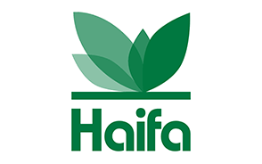 Logo firmy Haifa