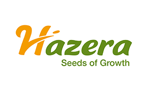 Logo firmy Hazera